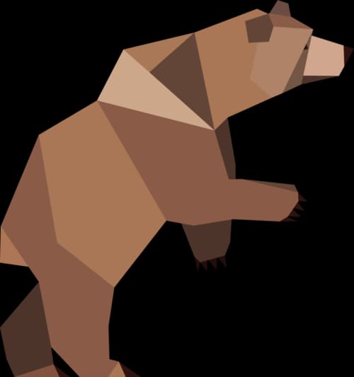 Bear29ers